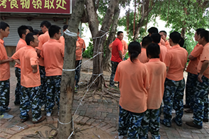 1527557189426035.png 8.png